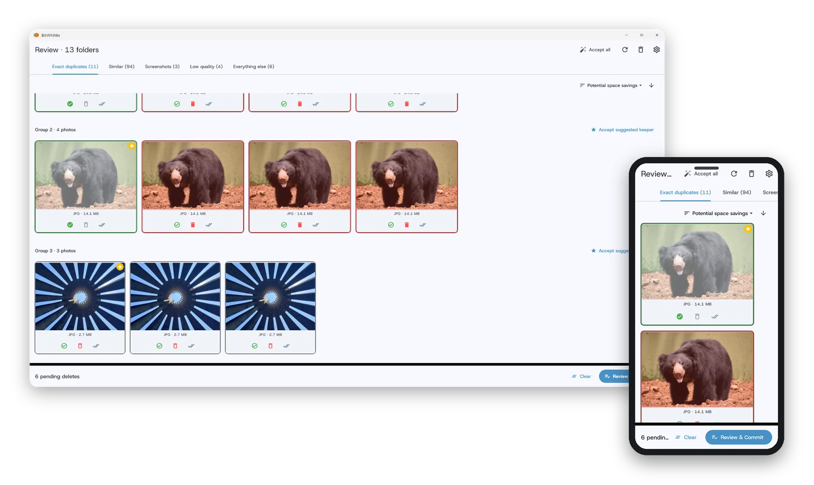 A group of similar photos ready to review, with the suggested keeper marked.